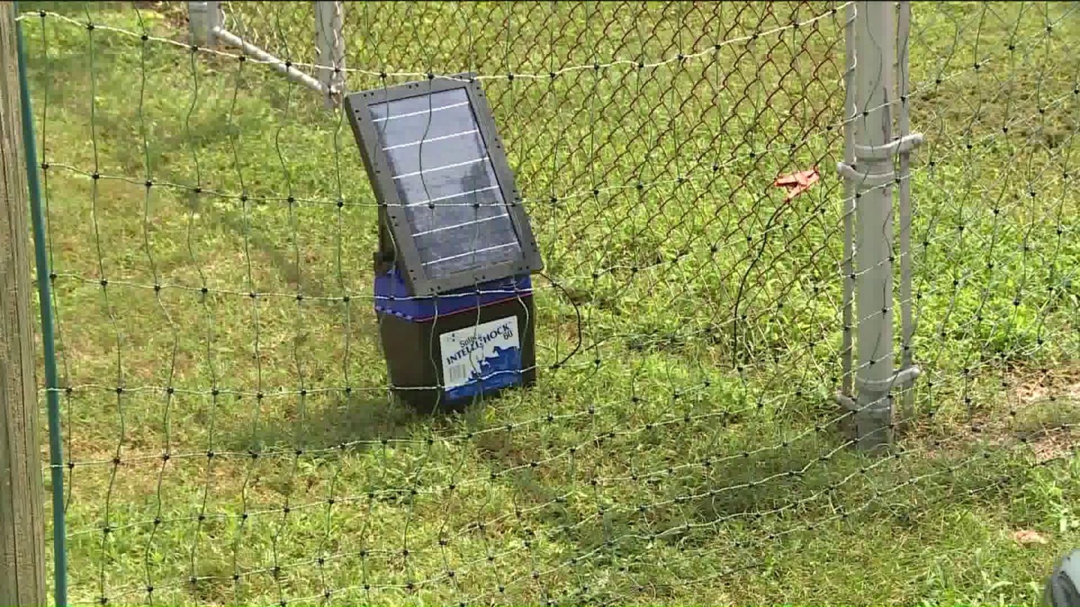 Parents Outraged After Man Puts Up Electric Fence Near Bus Stop