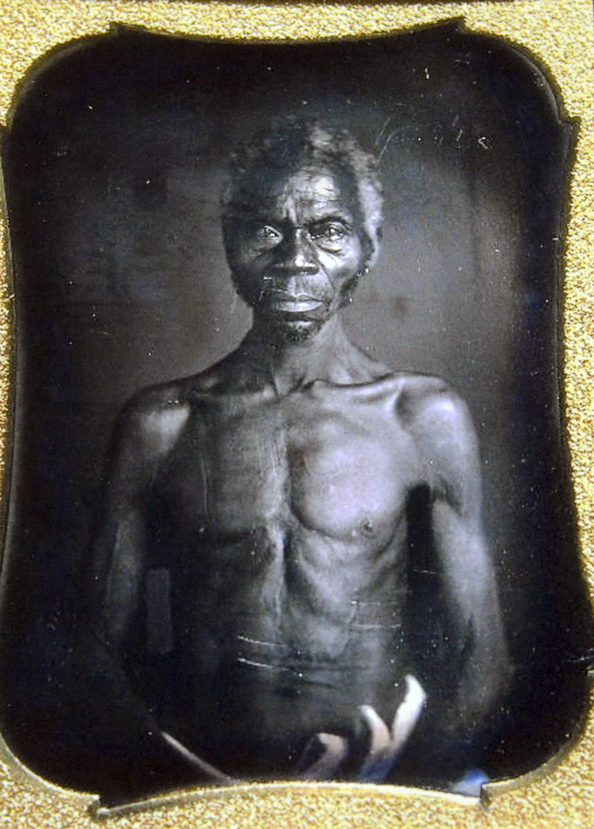 Harvard Is Being Sued For Allegedly Profiting From Photos Of Slaves